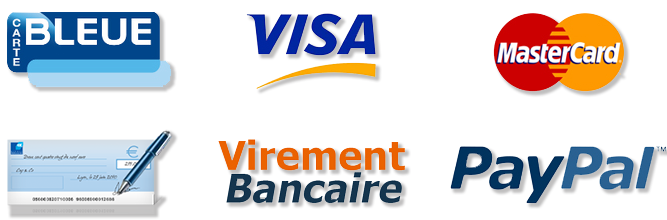 Paiement teleassistance paiement securise sud ts